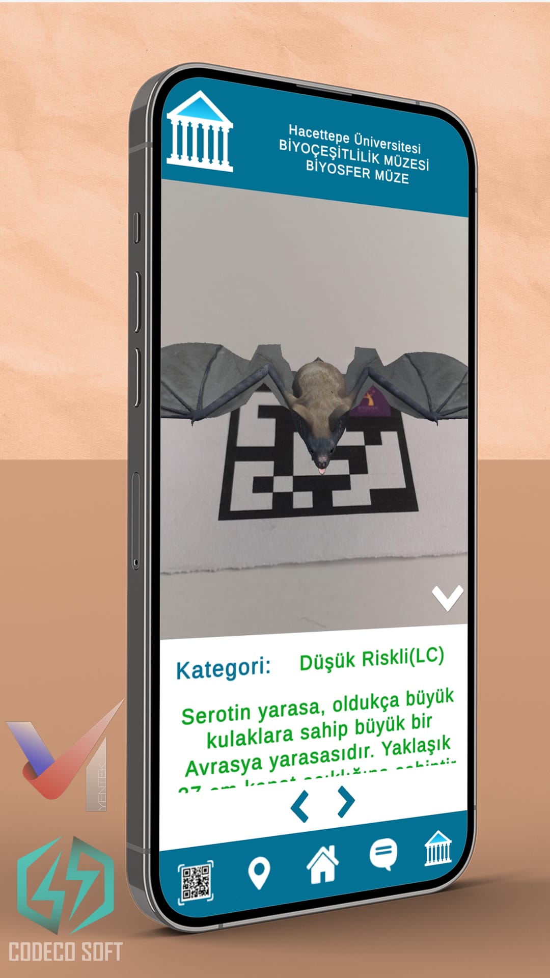 Hacettepe AR